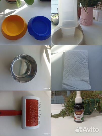 Миски для кошек и собак, грызунов