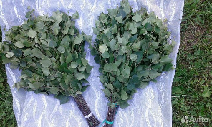 Веники для бани 2024