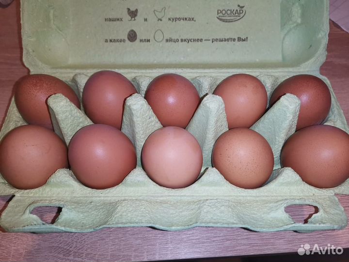 Домашние куриные яйца