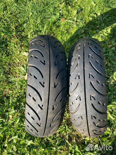 Duro HF504 130/70 R12 56J