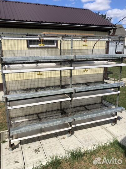 Клетка для бройлеров