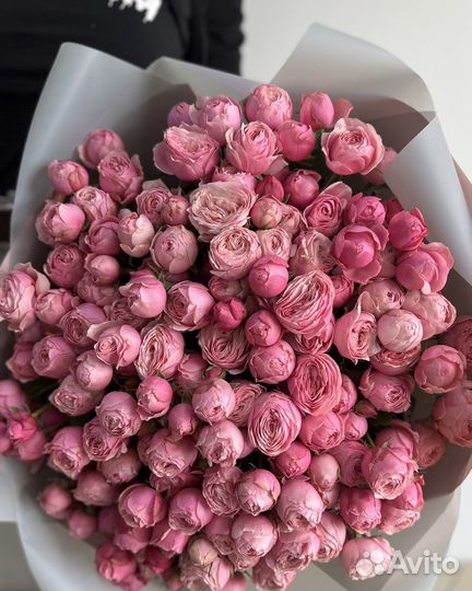 25 пионовидных роз кустовых. Мини пионы