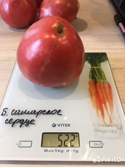 Семена сортовых томатов