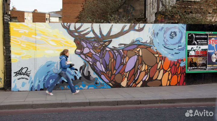 Профессиональная роспись стен, граффити