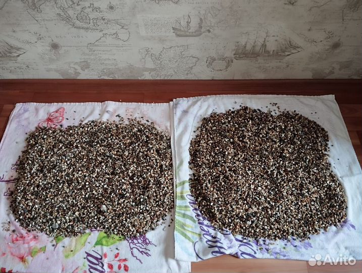 Аквариум с оборудованием