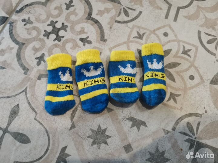 Носки для собак