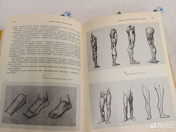 Щеголихина Рисунок 1976