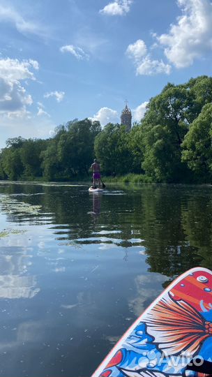 Сап, Sup board, сапборд