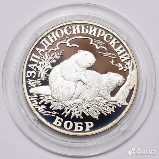 1 рубль 2001 года. Западносибирский бобр. Серебро
