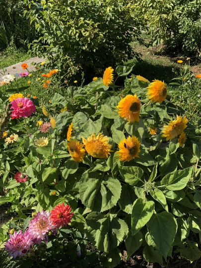 Дом 78 м² на участке 22 сот.