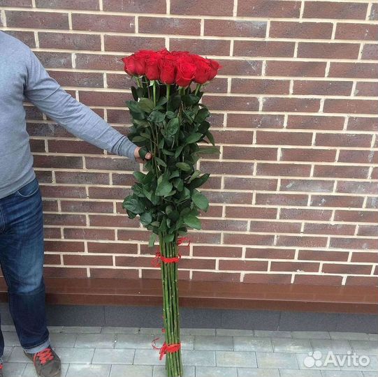 Розы Букеты Цветы Розы 31 101 151 201 Доставка