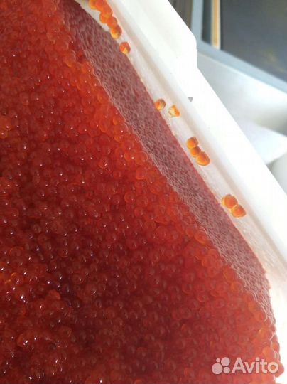 Красная икра 2023