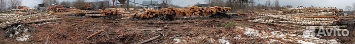 Лес для сруба