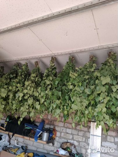 Березовые веники