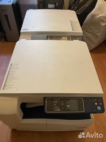 Мфу Xerox 5021 бу