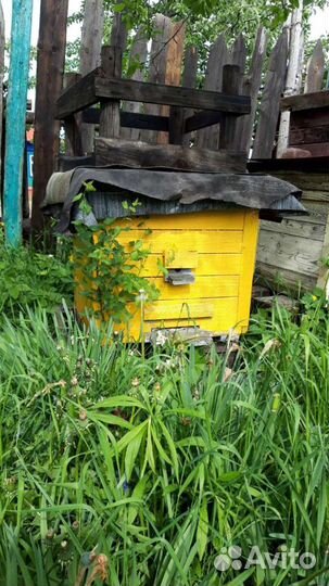 Ульи, лежаки