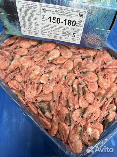 Креветки северные 90 120