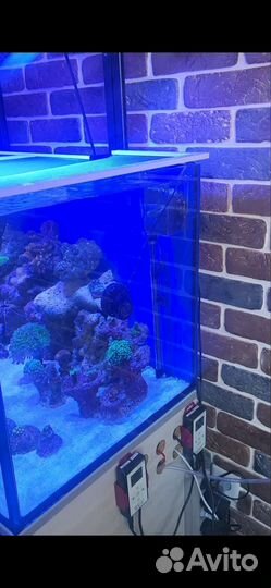 Аквариум с тумбой 250 литров