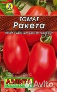 Рассада помидор