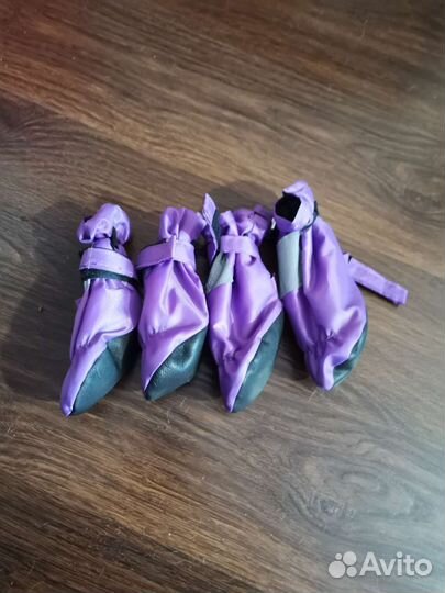 Обувь для средних собак