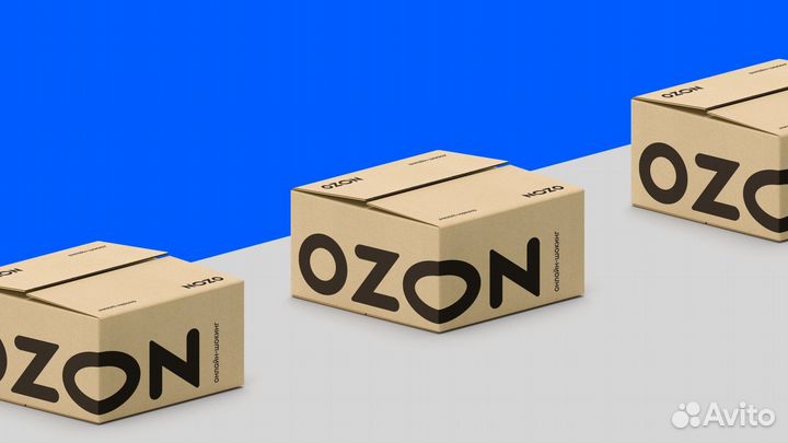Водитель-экспедитор в своём районе (Ozon)