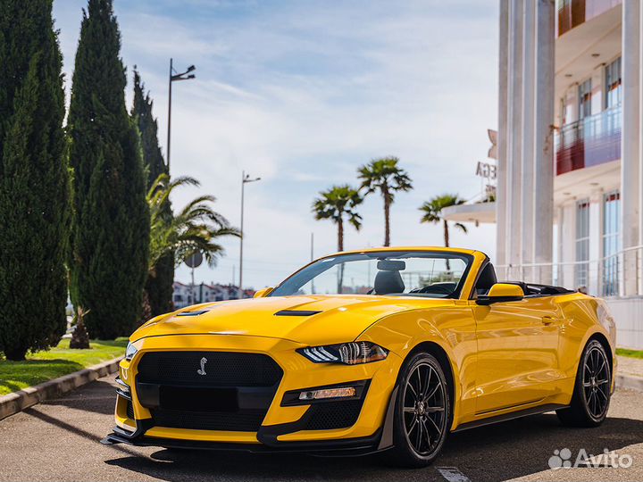 Морская прогулка на яхте, Аренда Яхты, Рыбалка