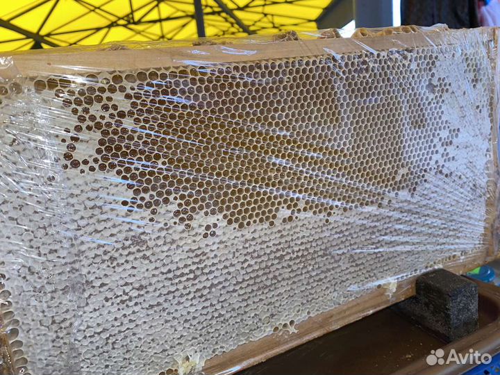 Натуральный мёд в Севастополе