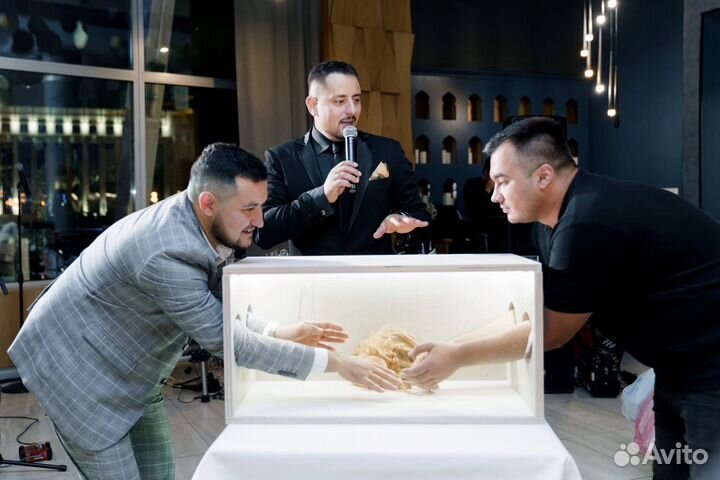 Угадай, что нащупал