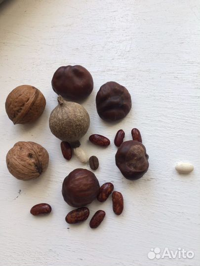 Фасоль для сухого бассейна