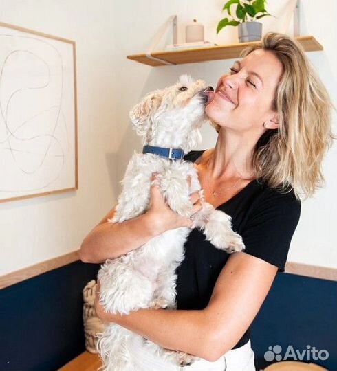 Скорая ветеринарная помощь. Ветеринарный врач