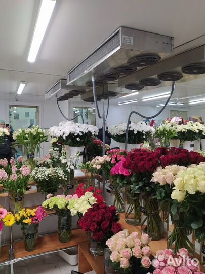 Ремонт холодильников, холодильного оборудования