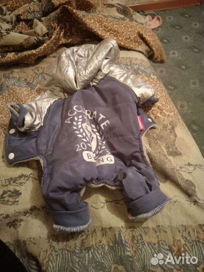 Зимний костюм для собаки