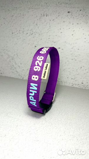 Ошейник-адресник