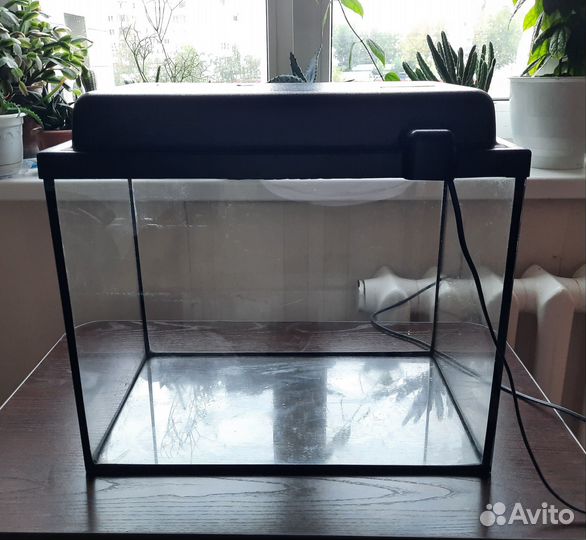 Аквариум