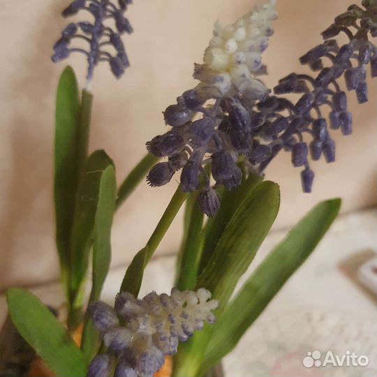 Искуственные цветы в кашпо SIA