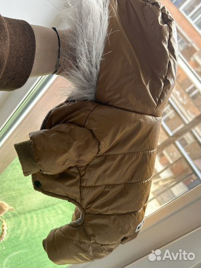 Комбинезон для маленькой собаки