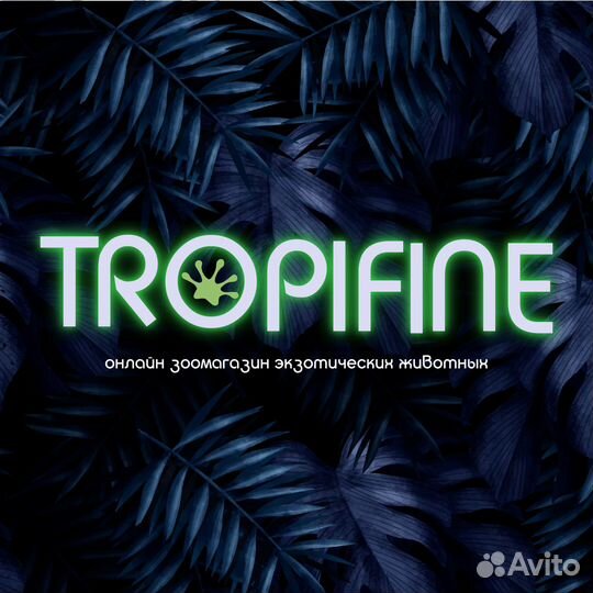 Разработка логотипа