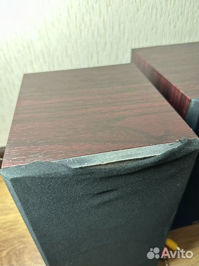 Колонки Dexp R500