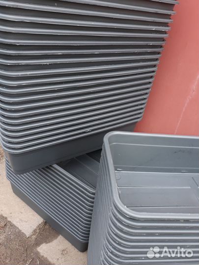 Ящик пластиковый для рассады(особопрочные)