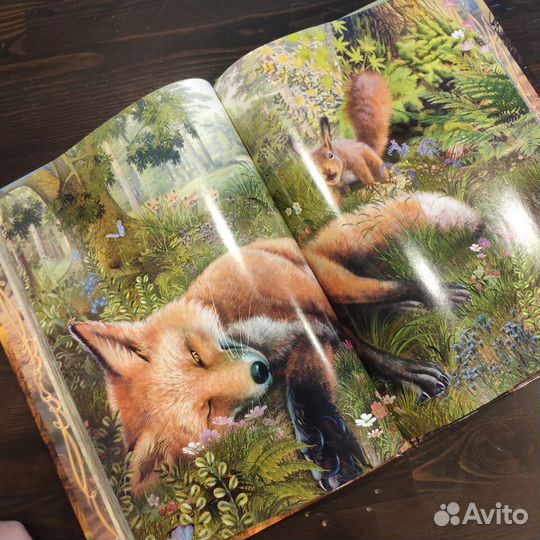 Книга Э. Сетон-Томпсон 