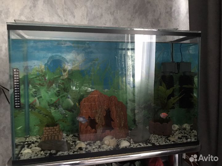 Аквариум 100 литров