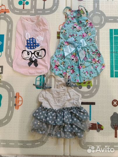 Комбинезон для собаки и другая одежда