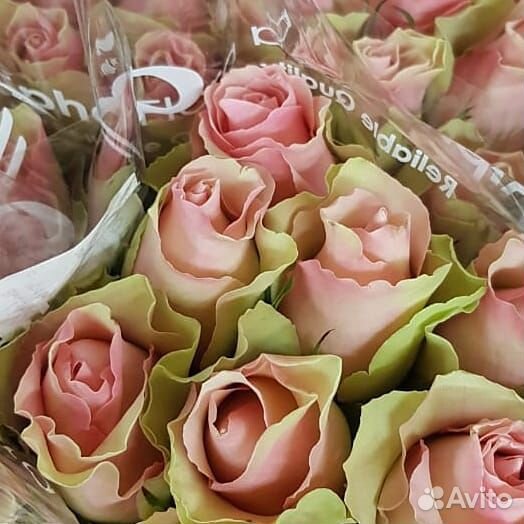 Розы с доставкой в офис, на дом