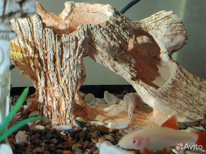 Аквариум Aquael