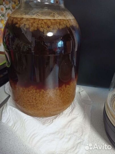 Квасной рис