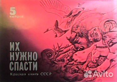 Открытки СССР