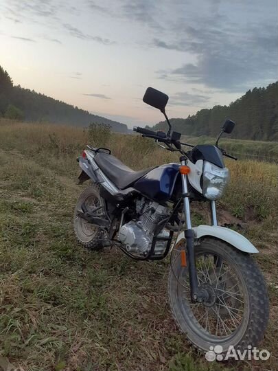 Фантом десна 250