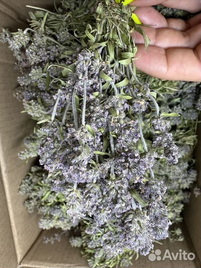 Набор для творчества