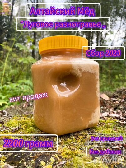 Мед с Алтая