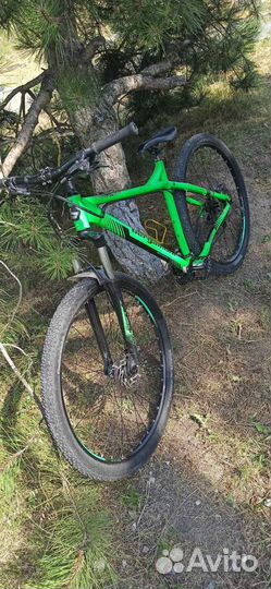 Велосипед Bergamont revox 5.0 L 29